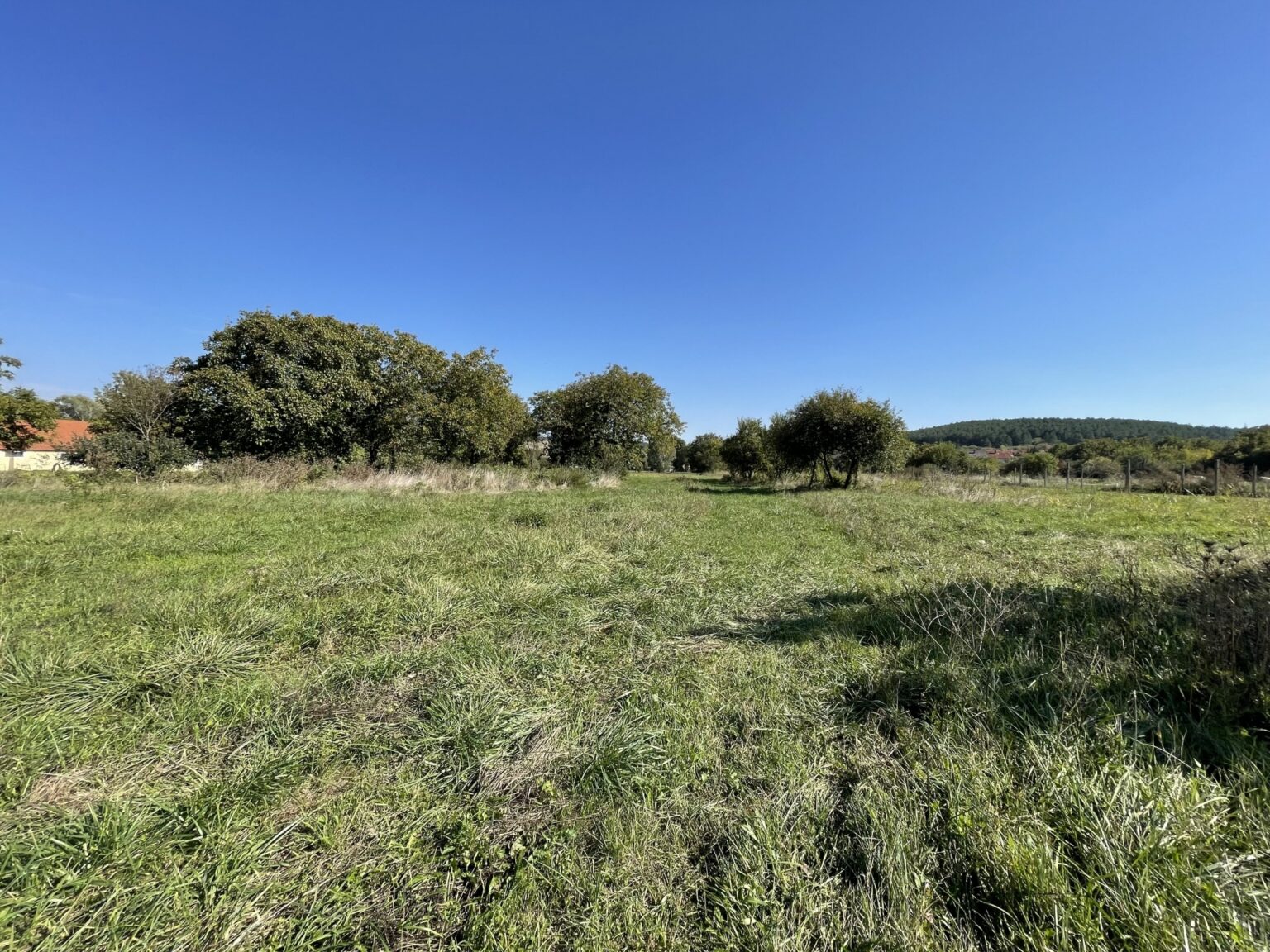 Eladó • Belterület • Litér • 6521 m²