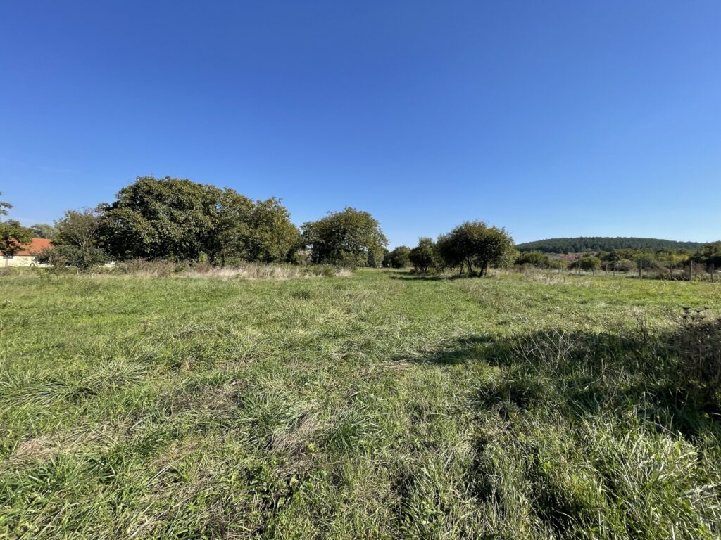 Eladó • Belterület • Litér • 6521 m²