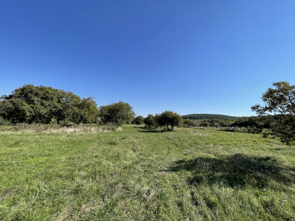 Eladó • Belterület • Litér • 6521 m²