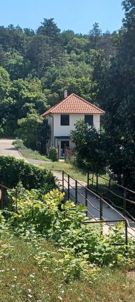 Eladó • Családi ház • Veszprém • 181 m²