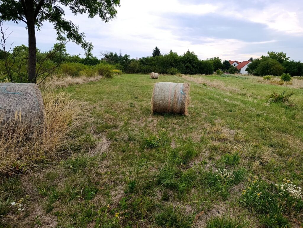 Eladó • Belterület • Márkó • 1100 m²