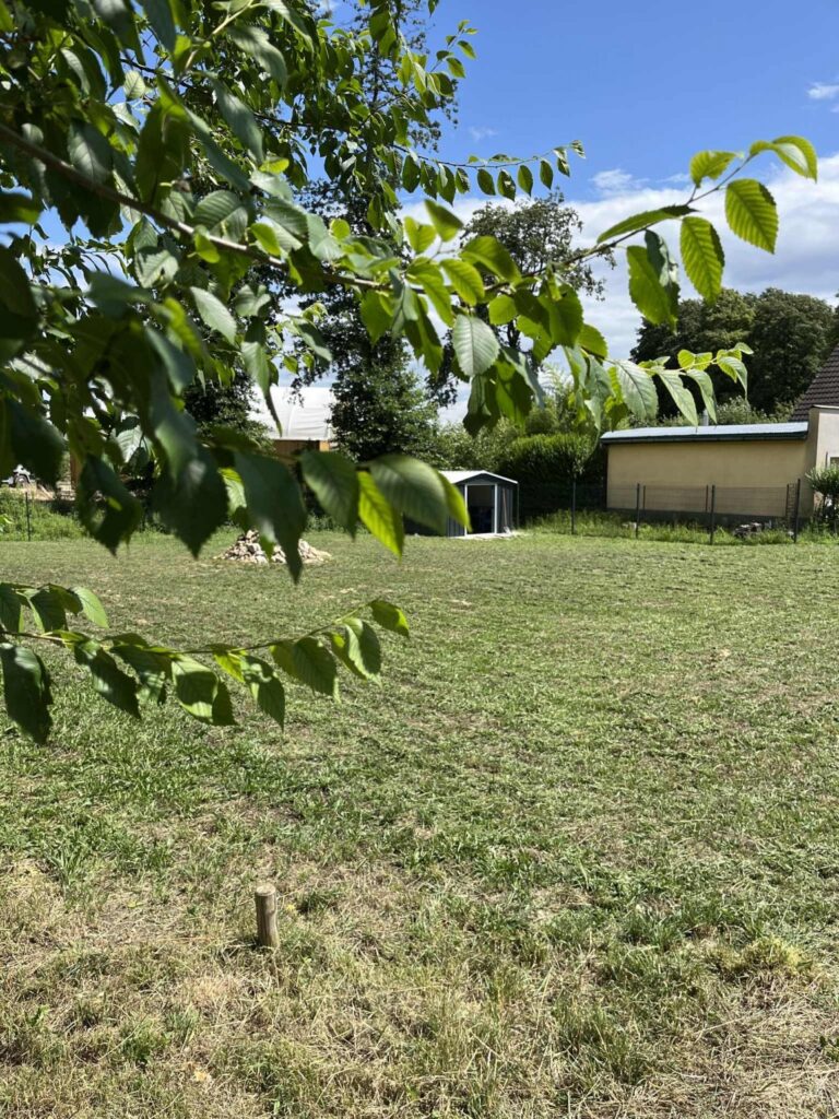 Eladó • Belterület • Herend • 840 m²