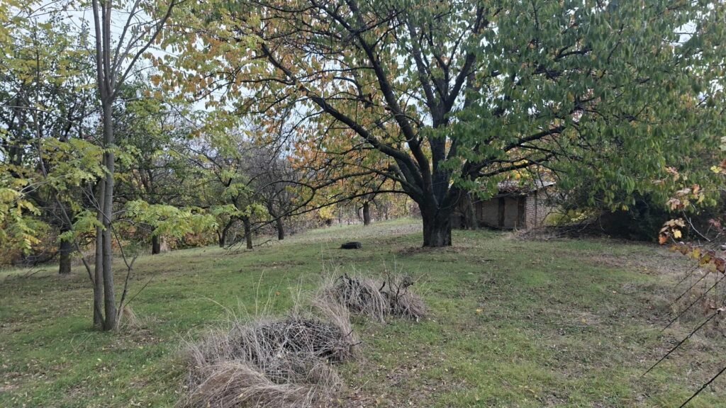 Eladó • Hétvégi házas • Ádánd • 20 m²