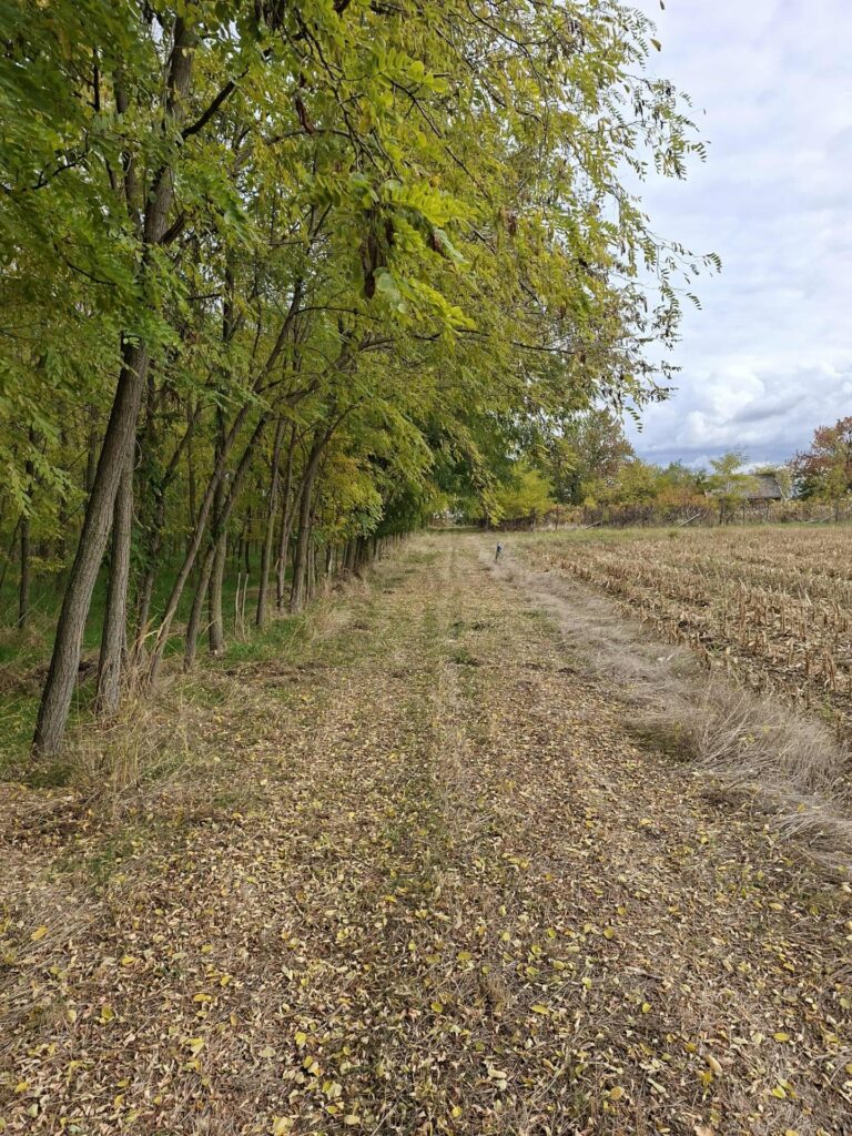 Eladó • Hétvégi házas • Ádánd • 20 m²