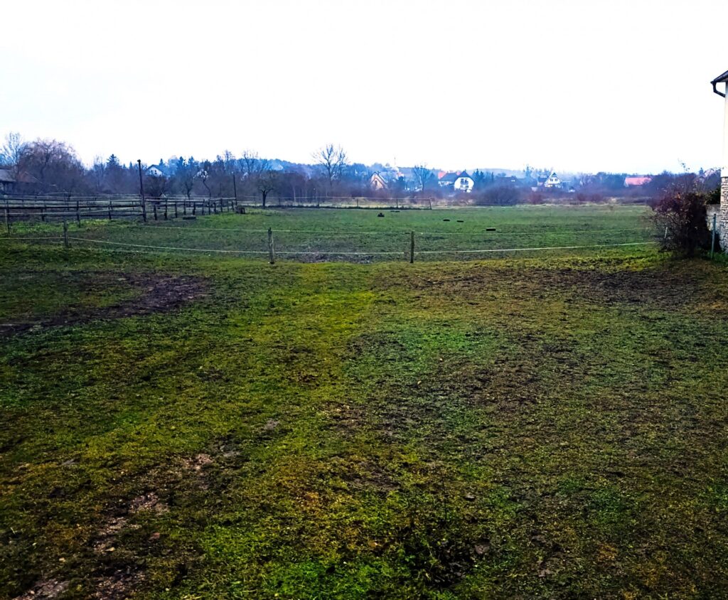 Eladó • Belterület • Márkó • 1466 m²