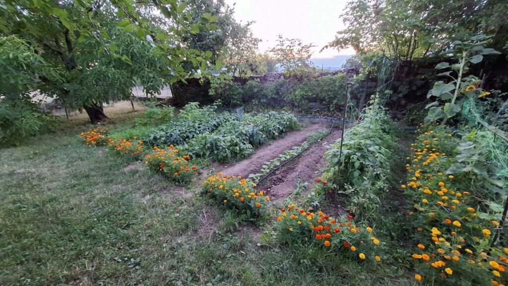 Eladó • Családi ház • Tótvázsony • 115 m²