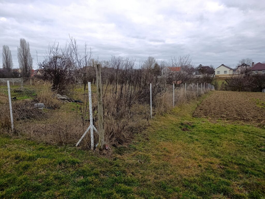 Eladó • Belterület • Szentkirályszabadja • 771 m²