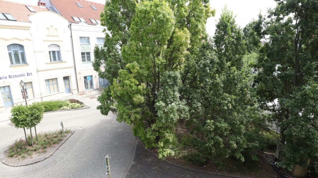 Kiadó • Egyéb iroda • Veszprém • 23 m²