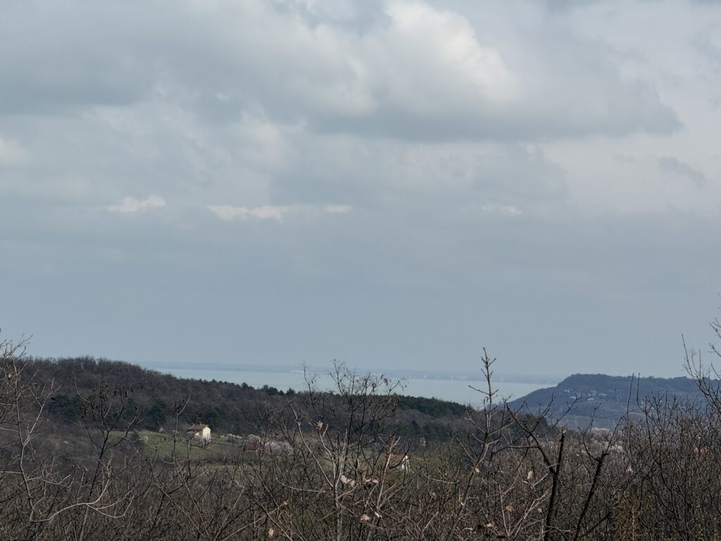 Eladó • Külterület • Pécsely • 1539 m²