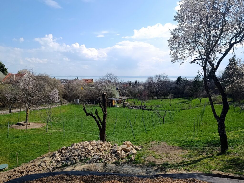 Eladó • Zártkert • Paloznak • 2913 m²