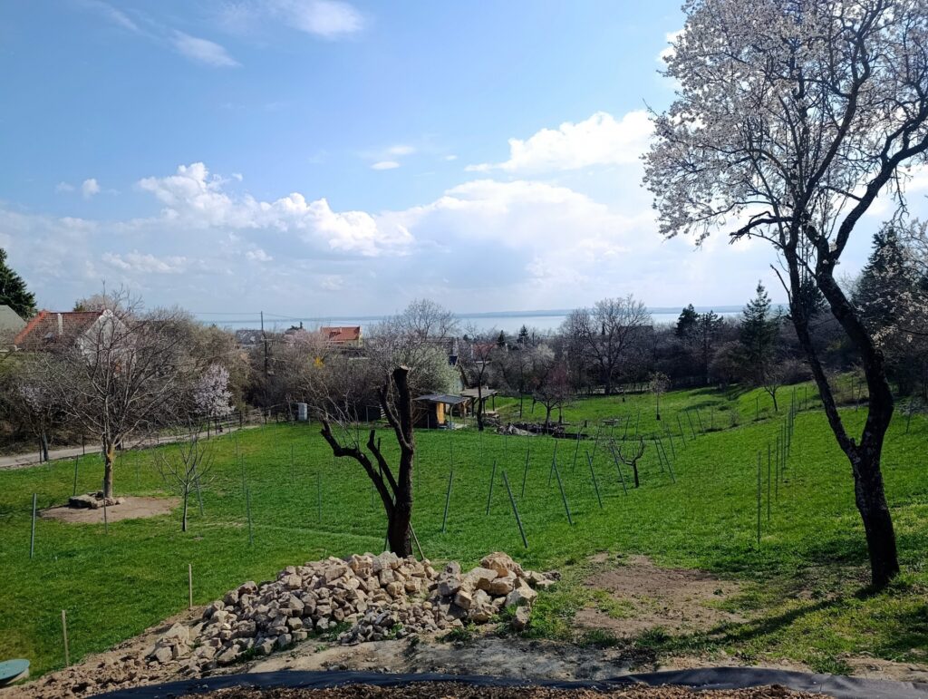 Eladó • Zártkert • Csopak • 2913 m²