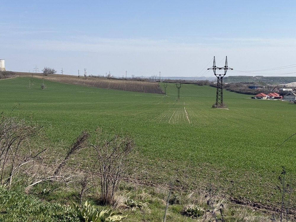 Eladó • Külterület • Várpalota • 49669 m²