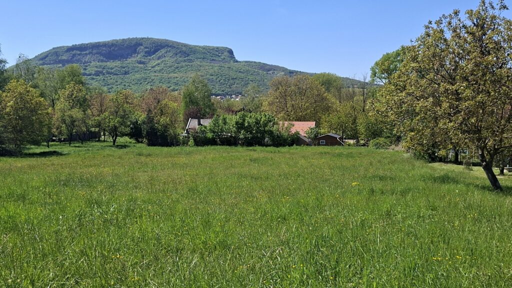 Eladó • Belterület • Badacsonytomaj • 1539 m²