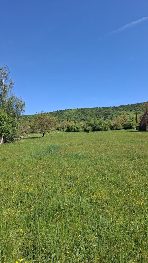 Eladó • Belterület • Badacsonytomaj • 1539 m²