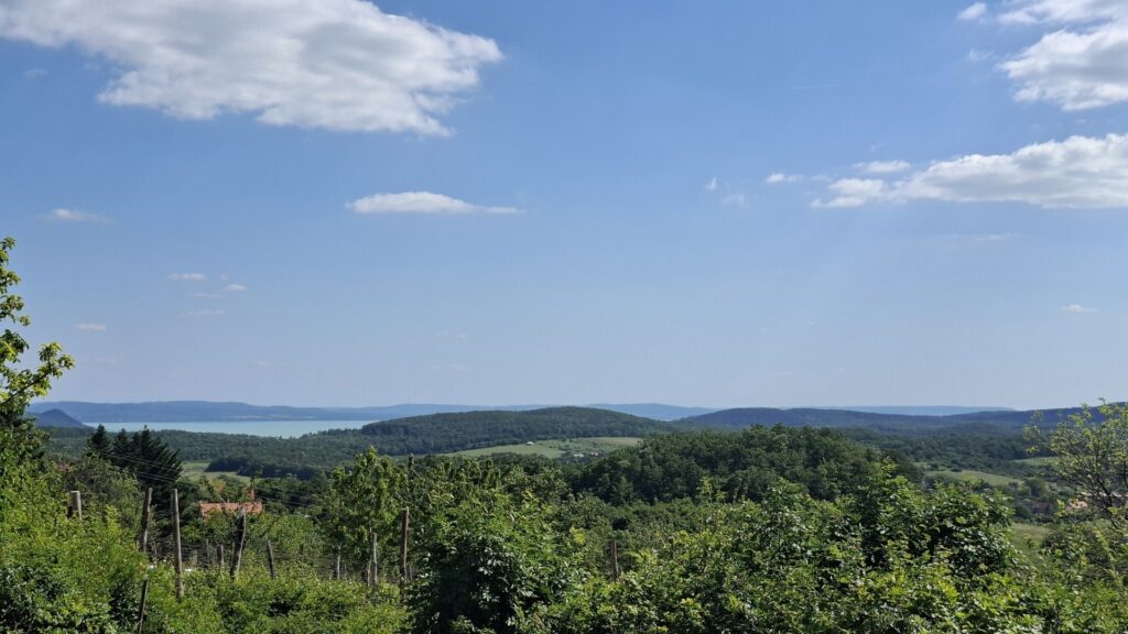 Eladó • Zártkert • Balatonszőlős • 4520 m²