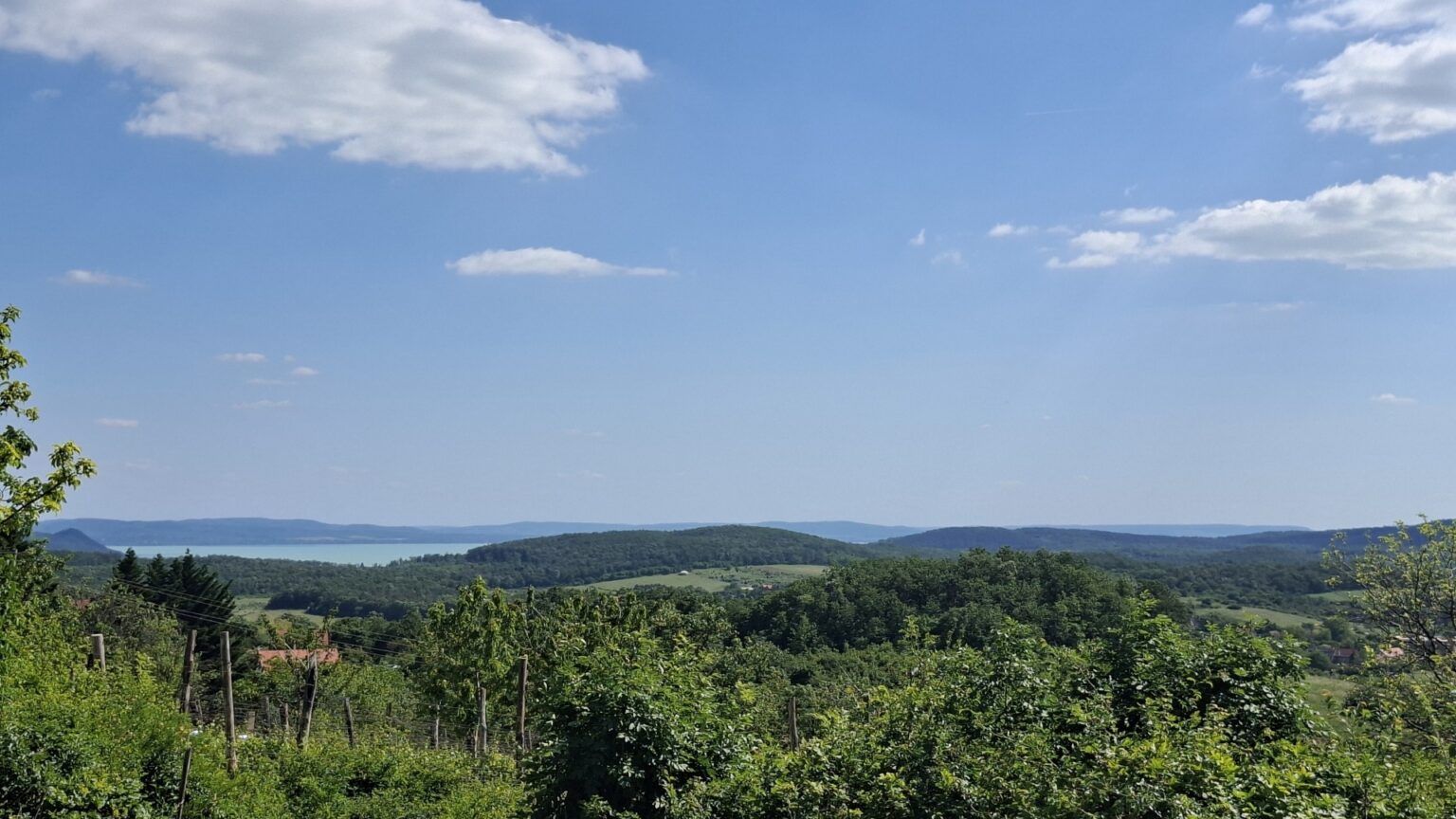 Eladó • Zártkert • Balatonszőlős • 4520 m²