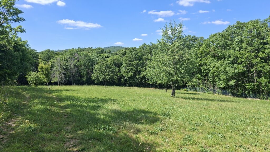 Eladó • Zártkert • Balatonszőlős • 4520 m²