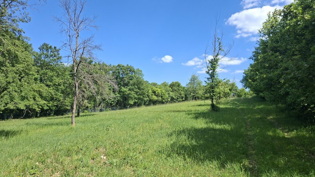 Eladó • Zártkert • Balatonszőlős • 4520 m²