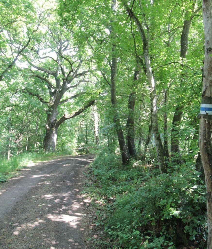 Eladó • Zártkert • Balatonszőlős • 4520 m²