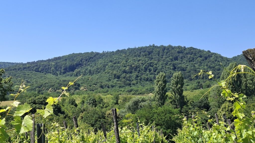 Eladó • Hétvégi házas • Lesencefalu • 45 m²