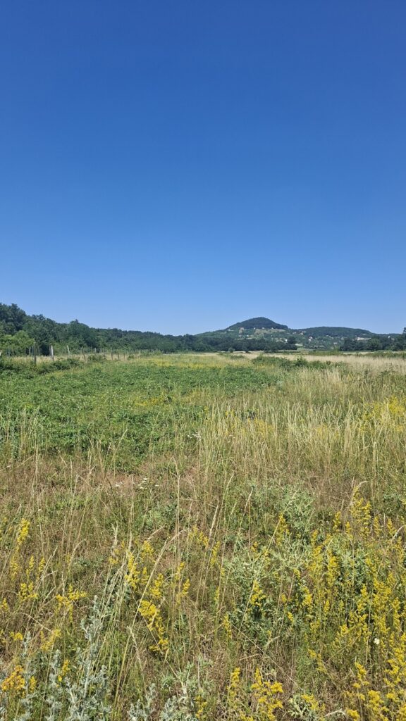 Eladó • Külterület • Zánka • 7474 m²