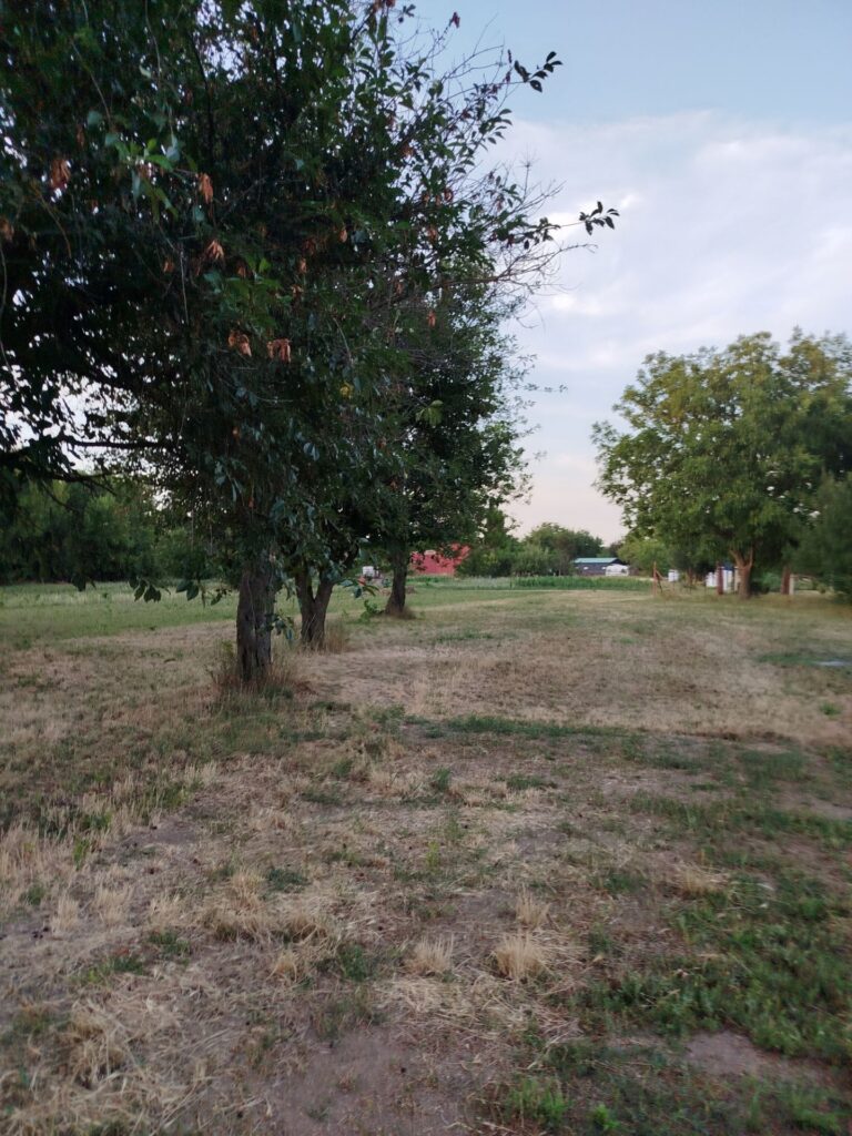 Eladó • Belterület • Sóly • 486 m²