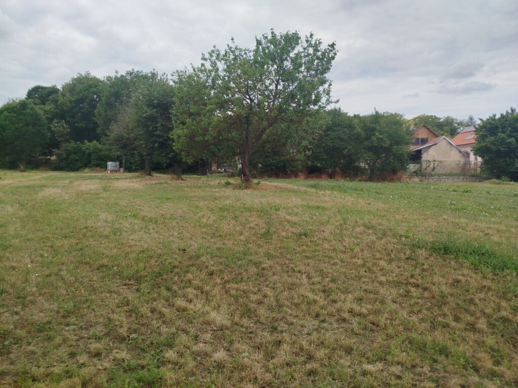 Eladó • Belterület • Sóly • 486 m²