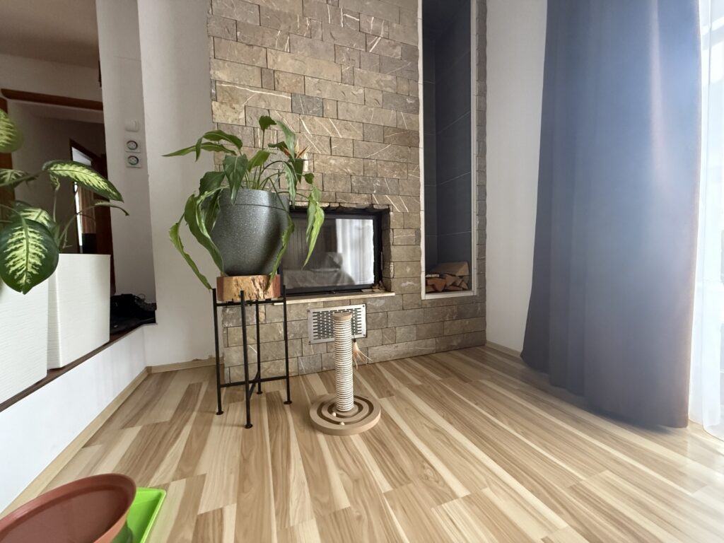 Kiadó • Családi ház • Öskü • 160 m²